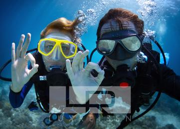 Padi Open Water diving course for beginners photo